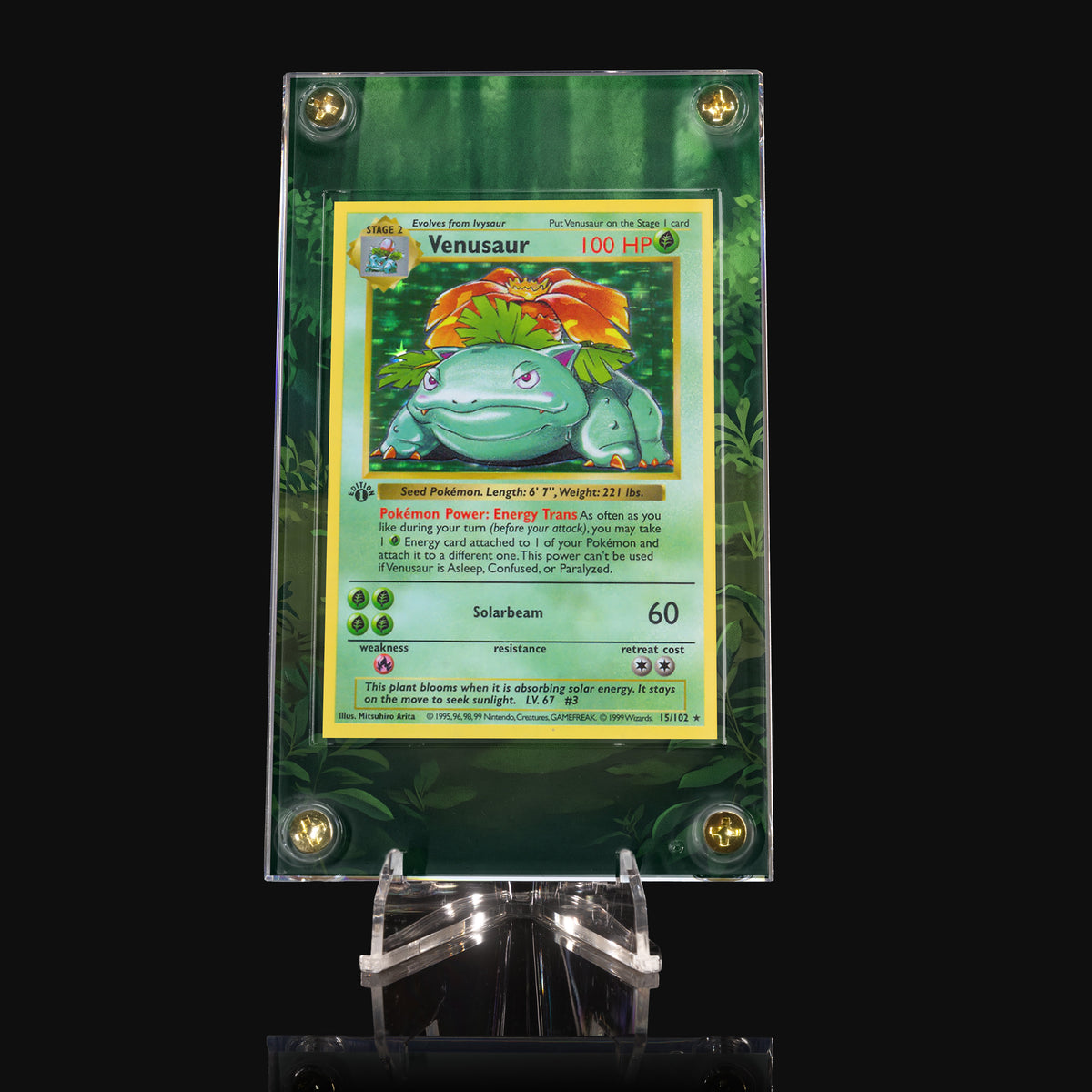 Venusaur 15/102 Base Set Extended Art Display