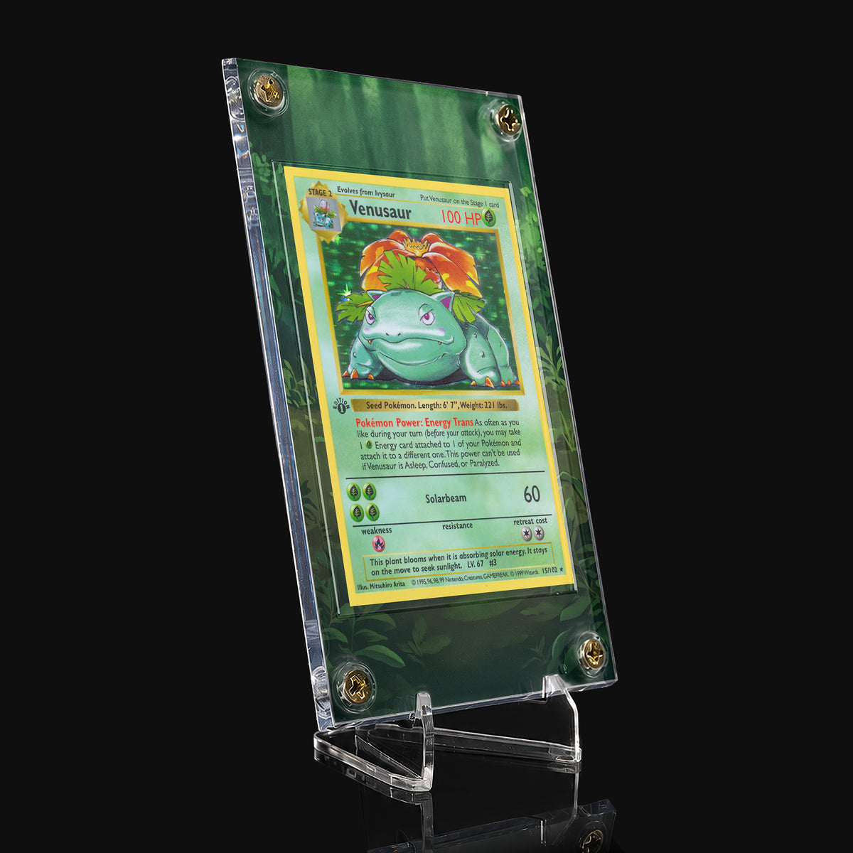 Venusaur 15/102 Base Set Extended Art Display