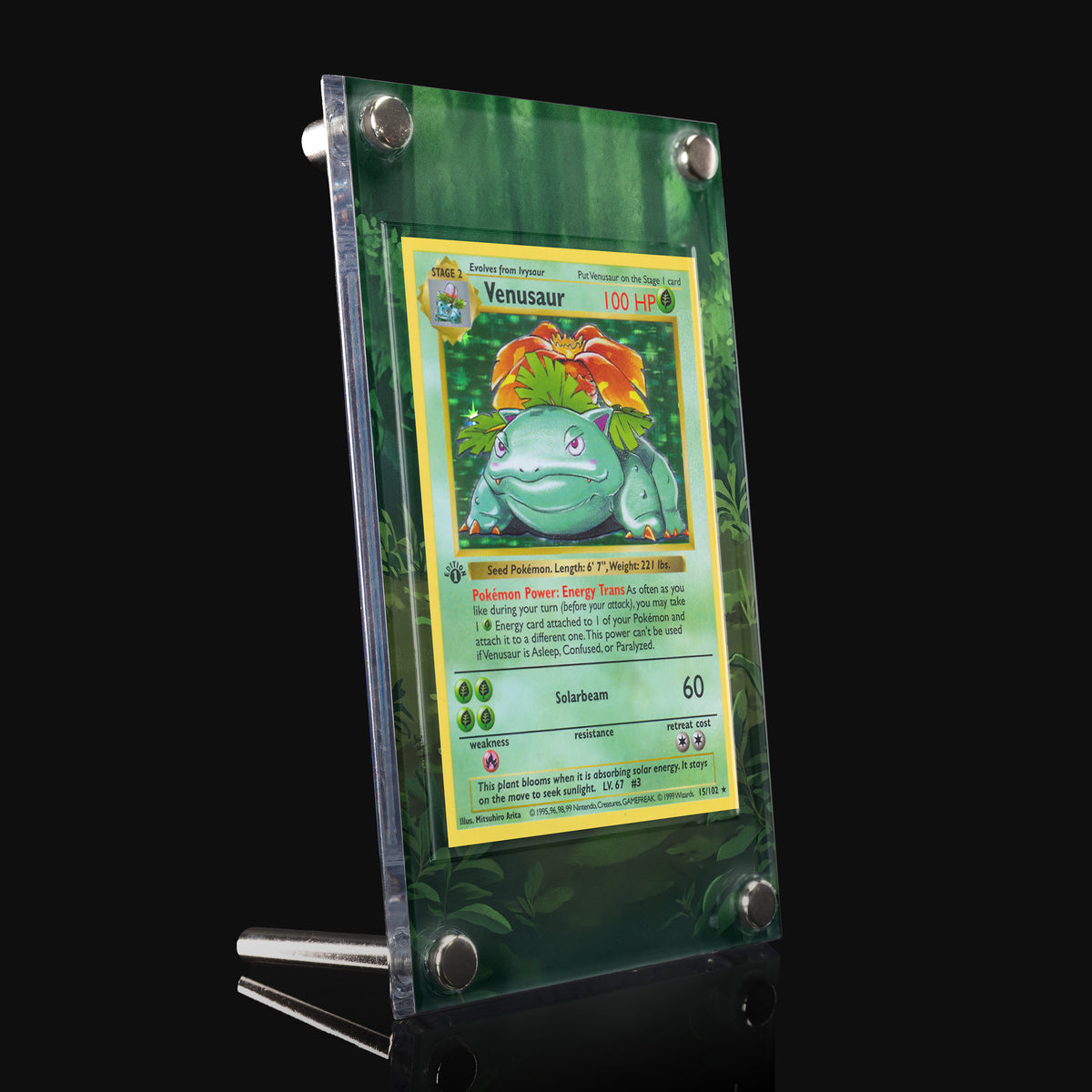 Venusaur 15/102 Base Set Extended Art Display