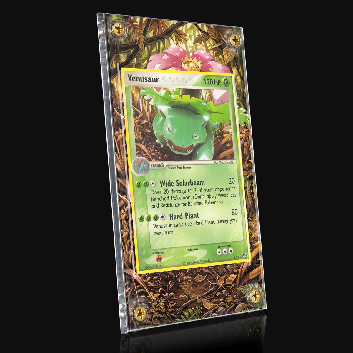 Venusaur 6/17 POP Series 2 Extended Art Display