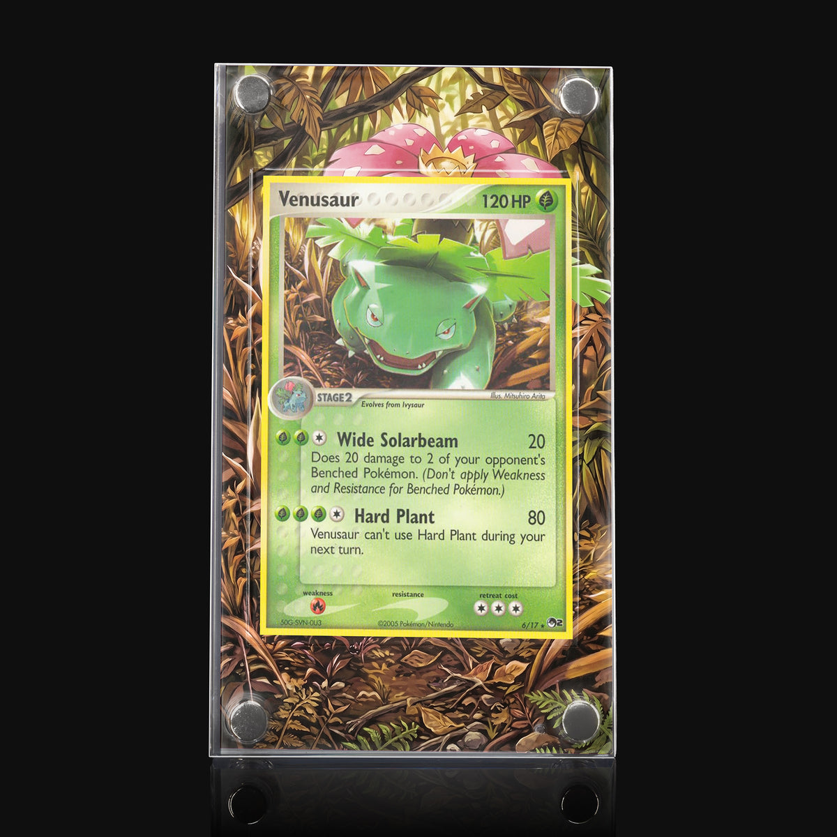 Venusaur 6/17 POP Series 2 Extended Art Display