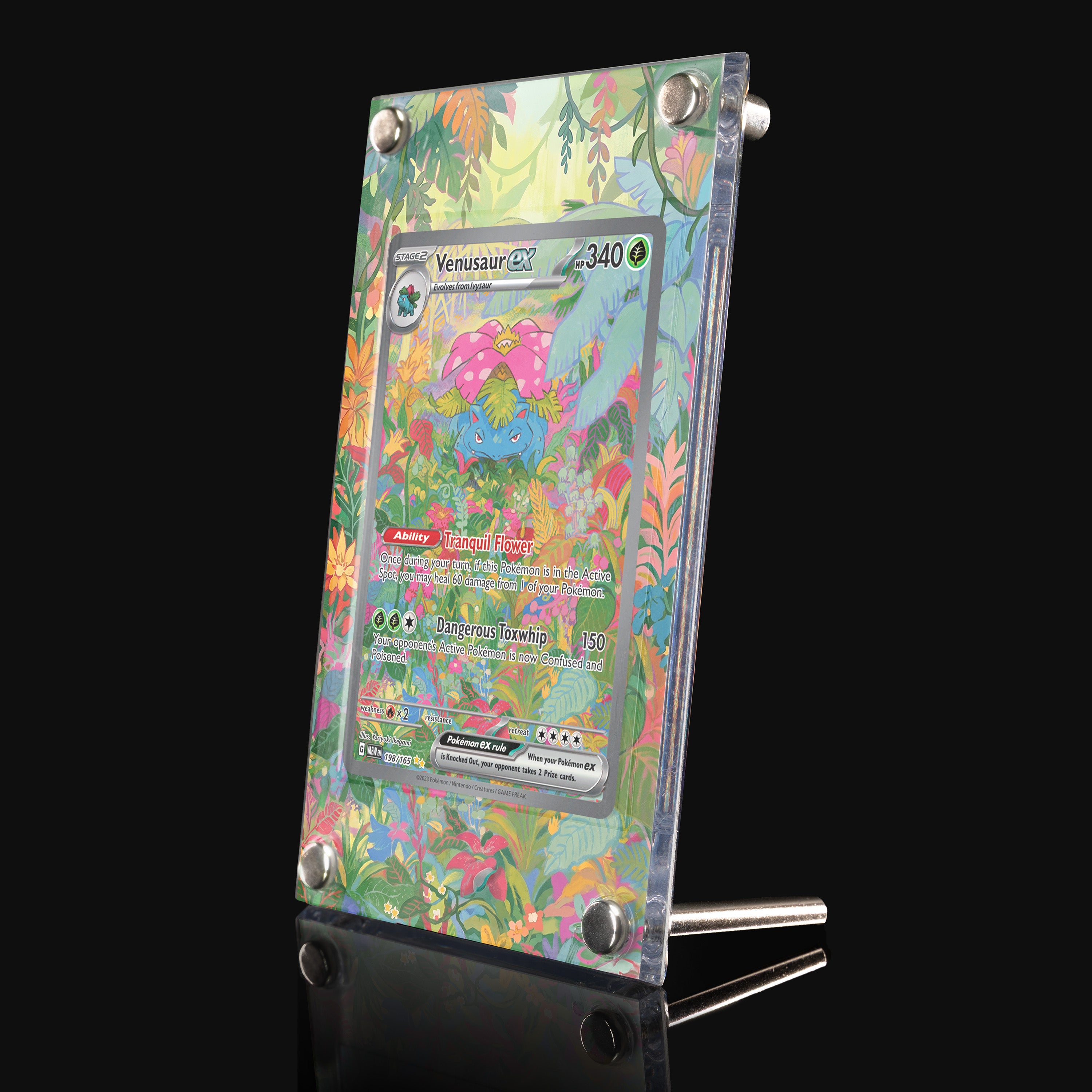 Venusaur ex 198 Extended Art Display