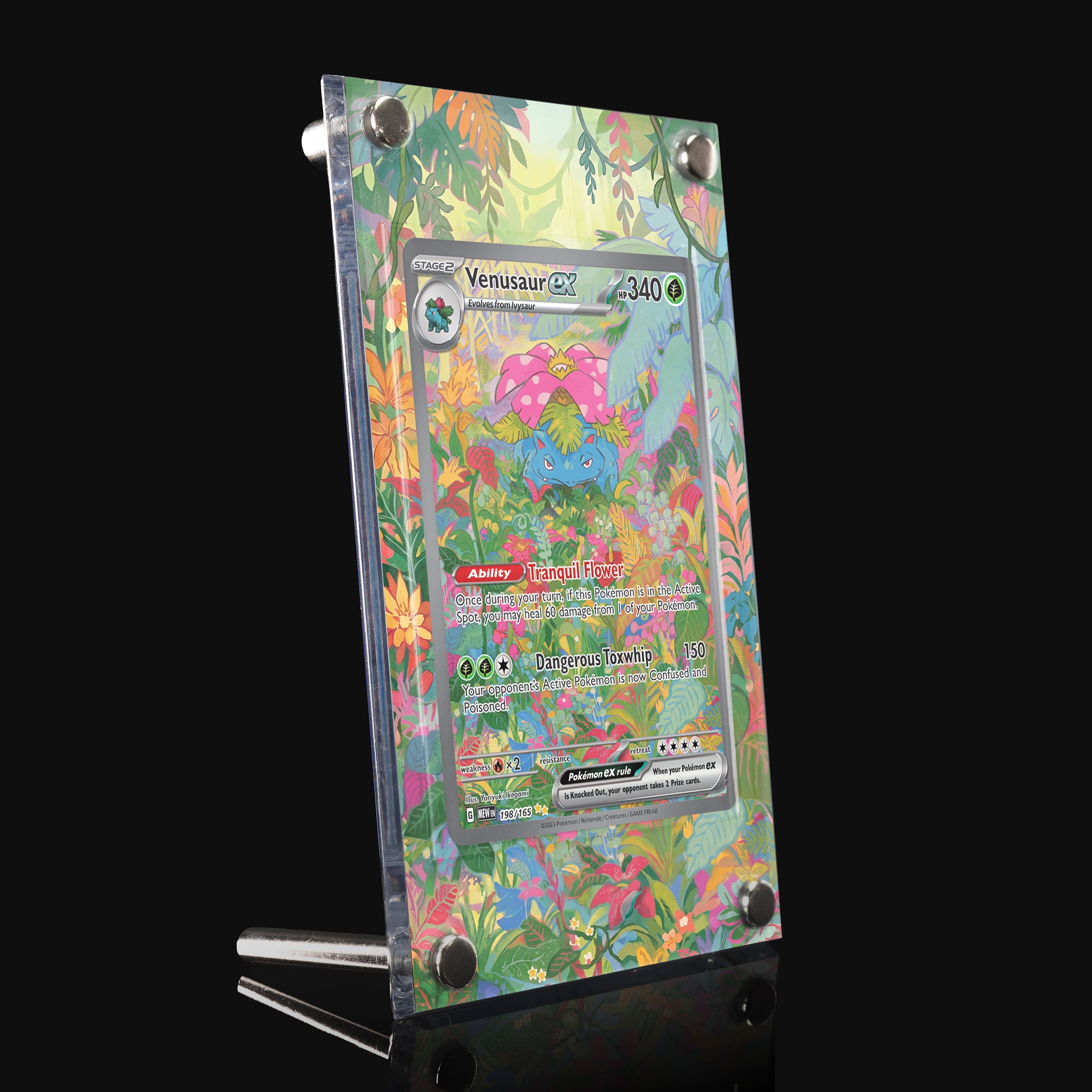 Venusaur ex 198 Extended Art Display