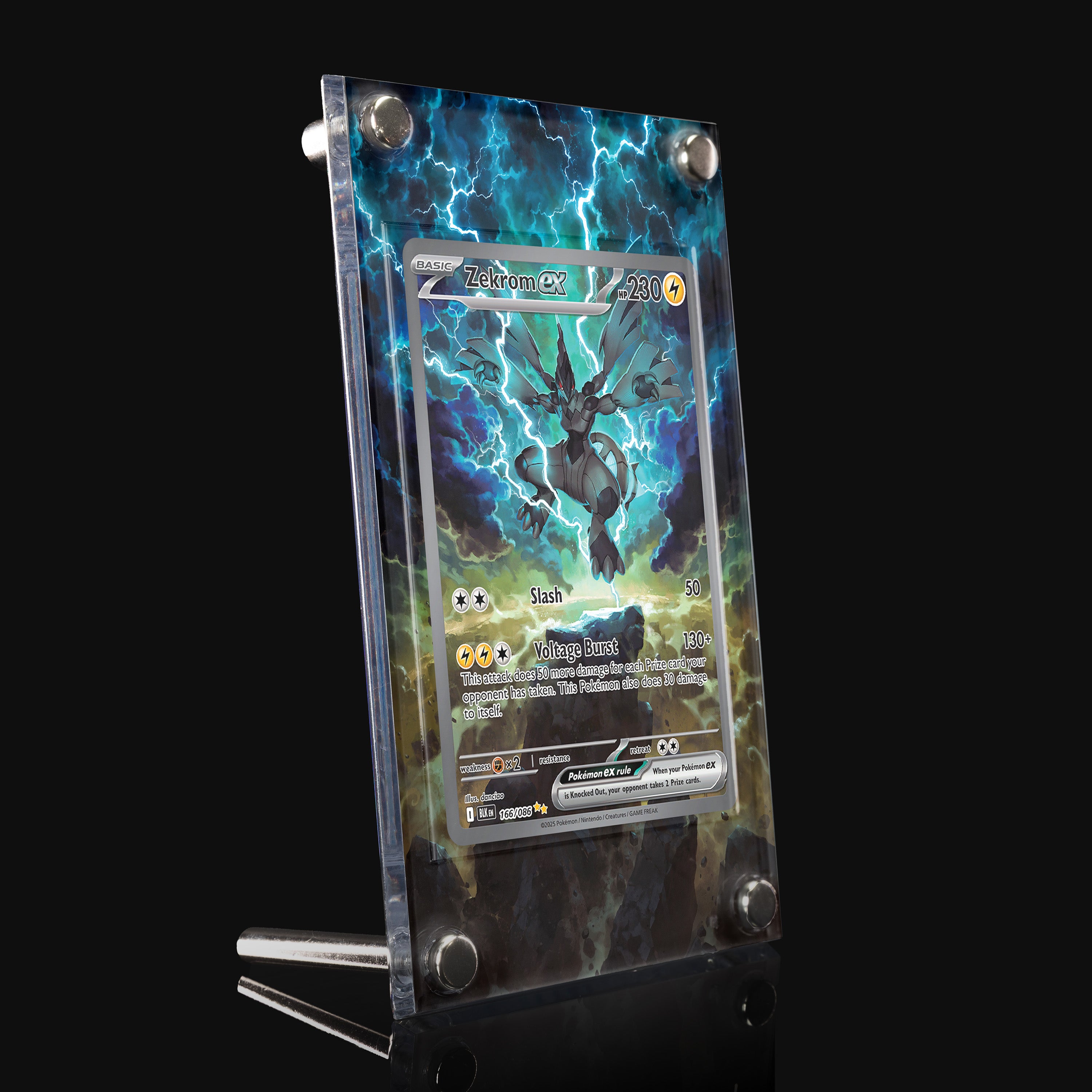 Zekrom ex 166 Extended Art Display