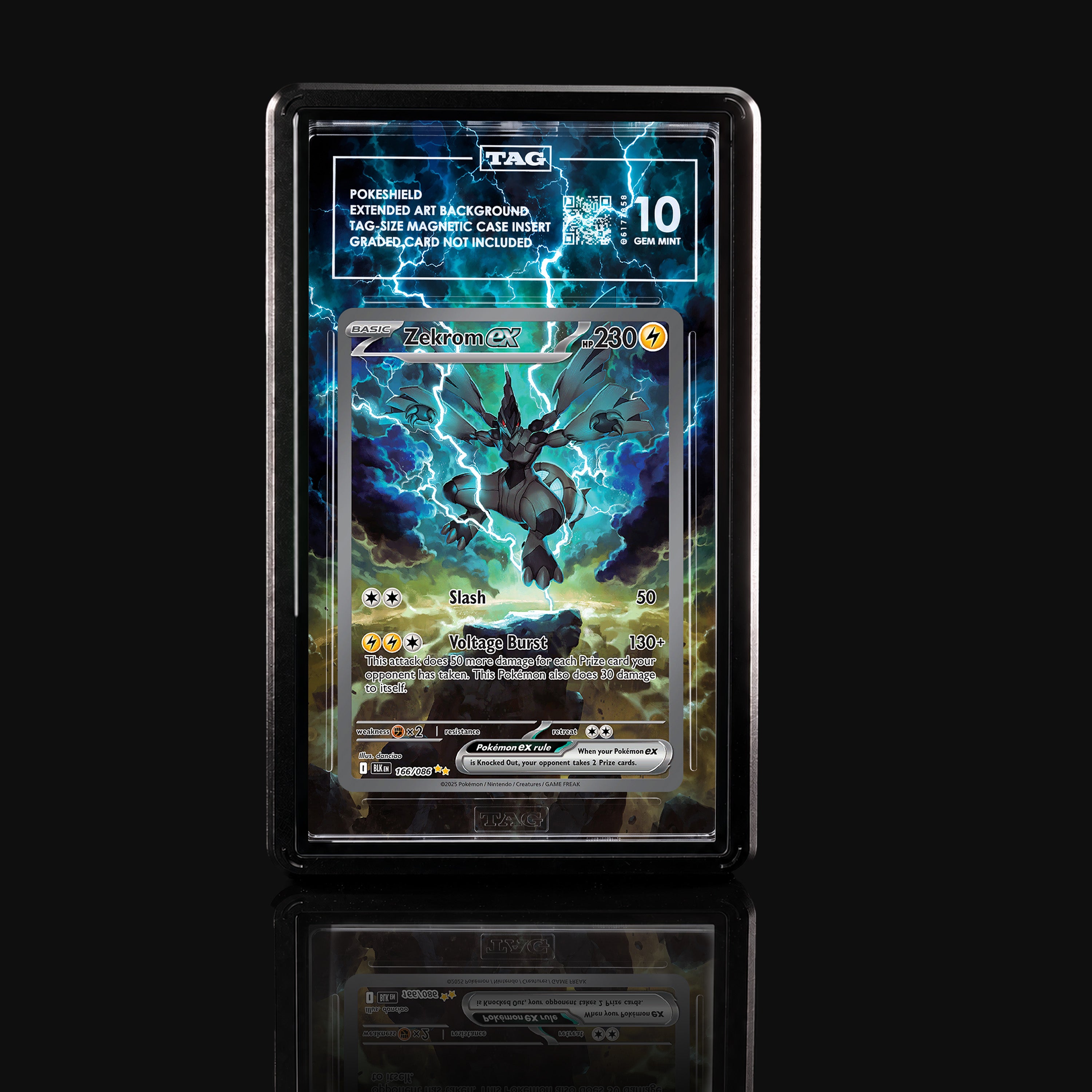 Zekrom ex 166 Extended Art Display