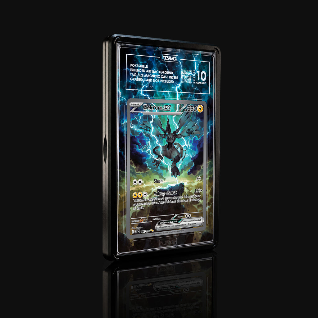 Zekrom ex 166 Extended Art Display