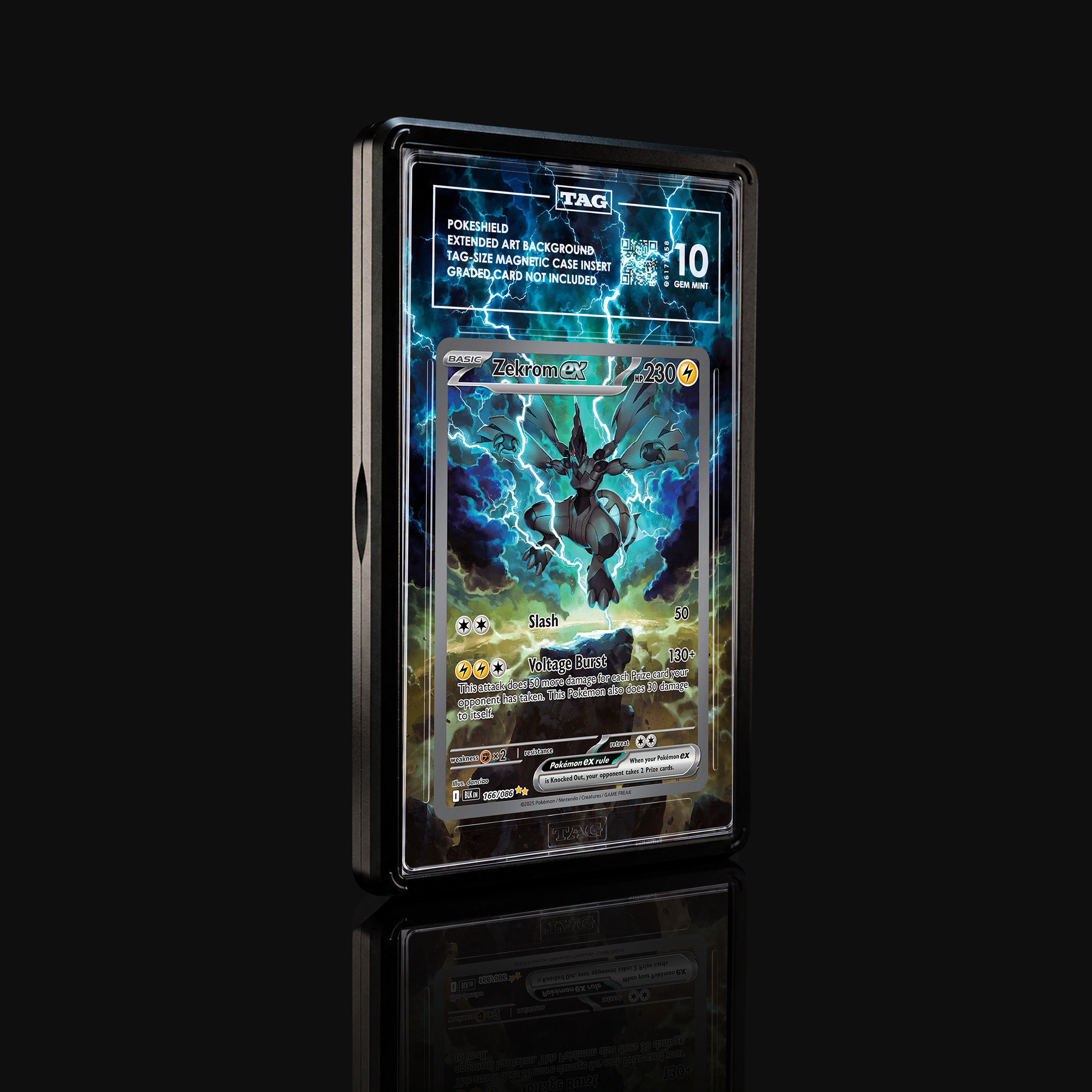 Zekrom ex 166 Extended Art Display