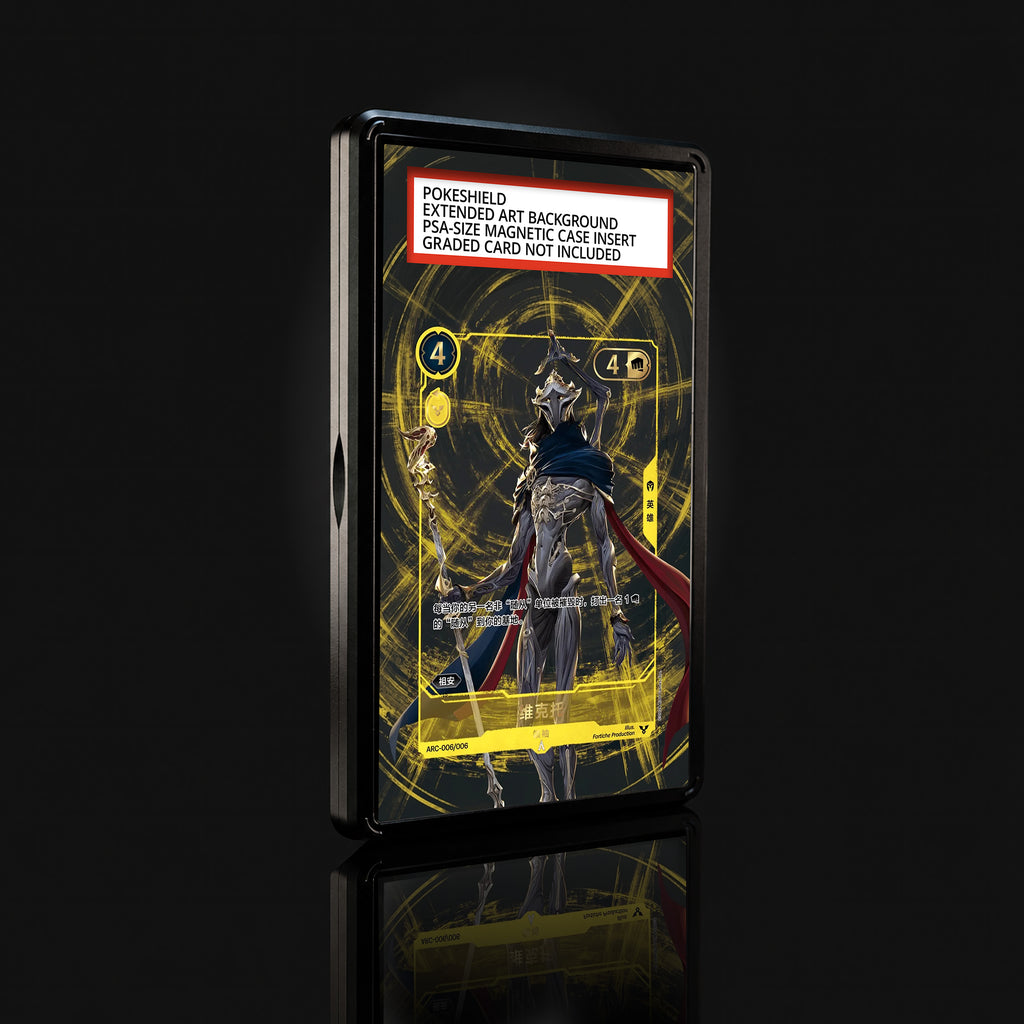 Viktor Leader ARC-006/006 Extended Art Display