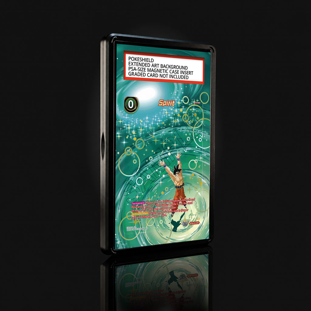 Spirit BT30-15 SPR Extended Art Display