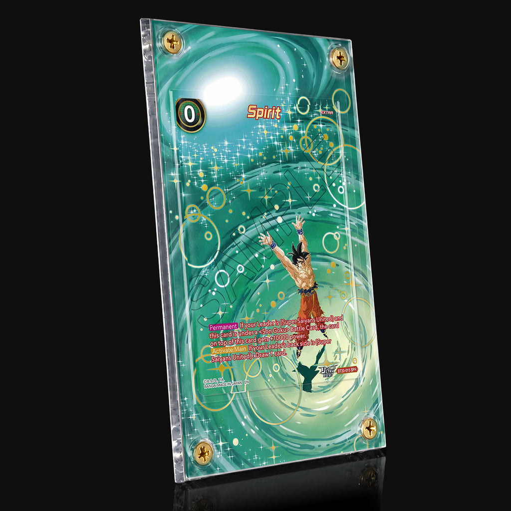 Spirit BT30-15 SPR Extended Art Display
