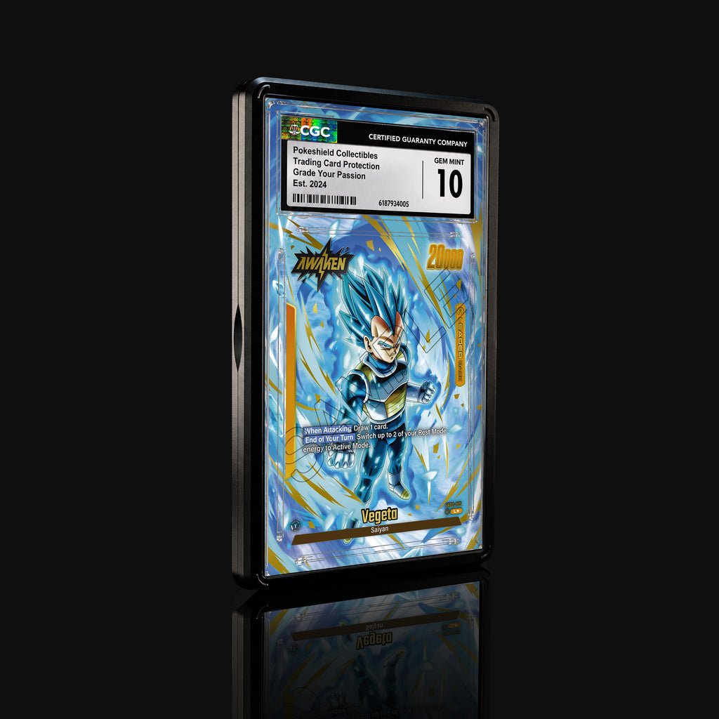 Vegeta FB02-105 L★ Extended Art Display