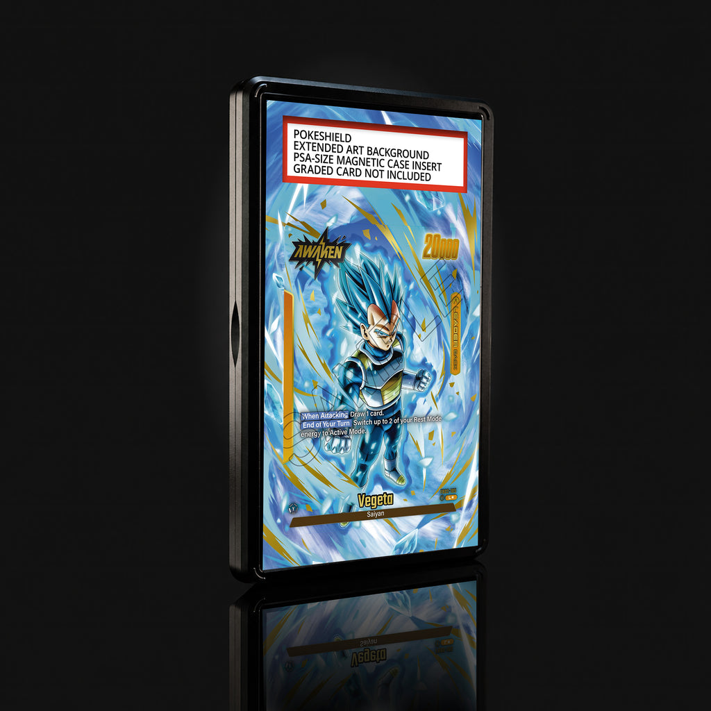 Vegeta FB02-105 L★ Extended Art Display