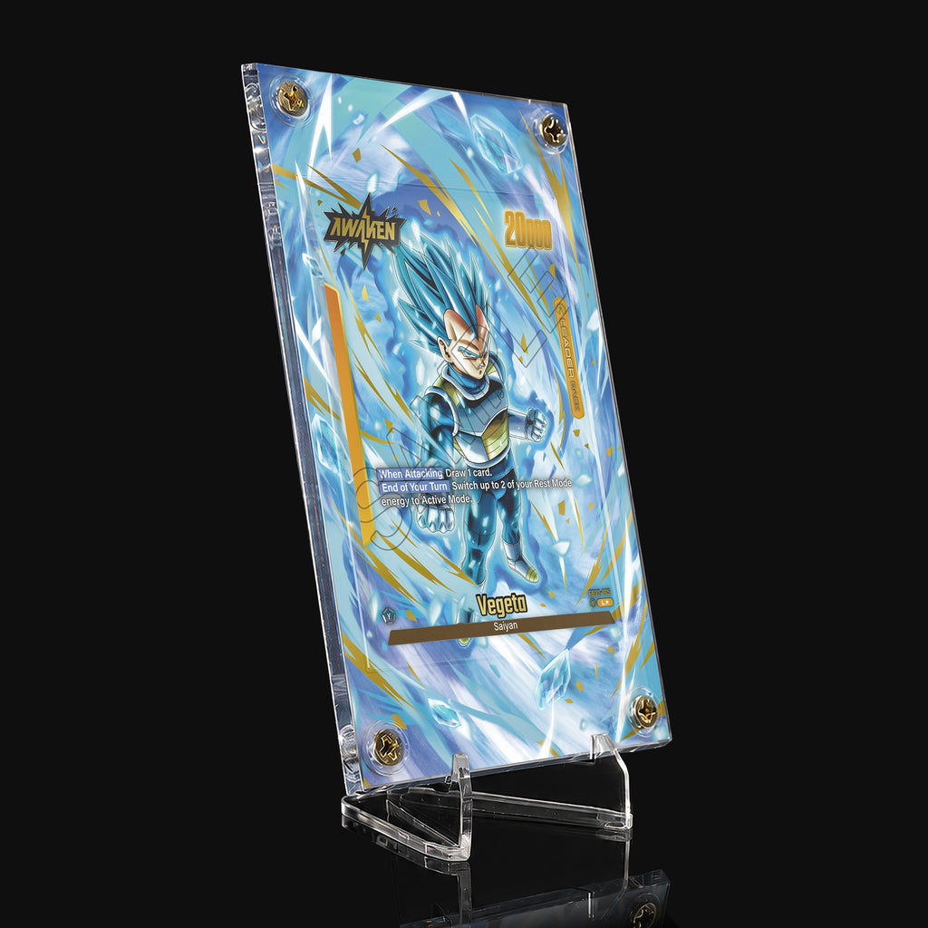 Vegeta FB02-105 L★ Extended Art Display