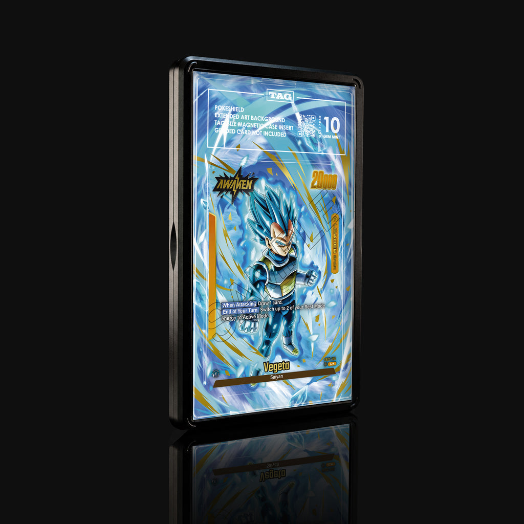 Vegeta FB02-105 L★ Extended Art Display